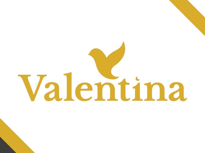 Valentina My project for course: Branding and Identity: Construction and Development of a Brand 1