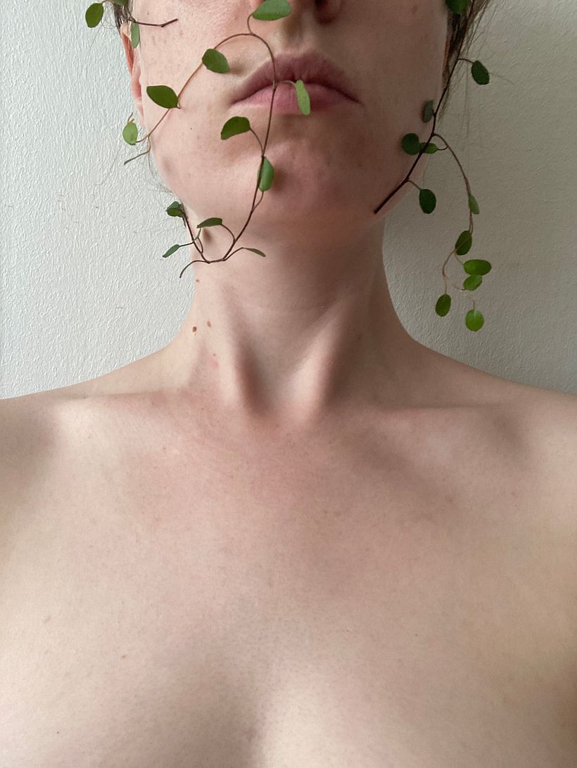 Vine 1