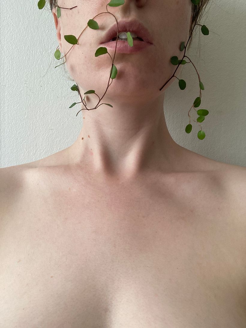 Vine 2