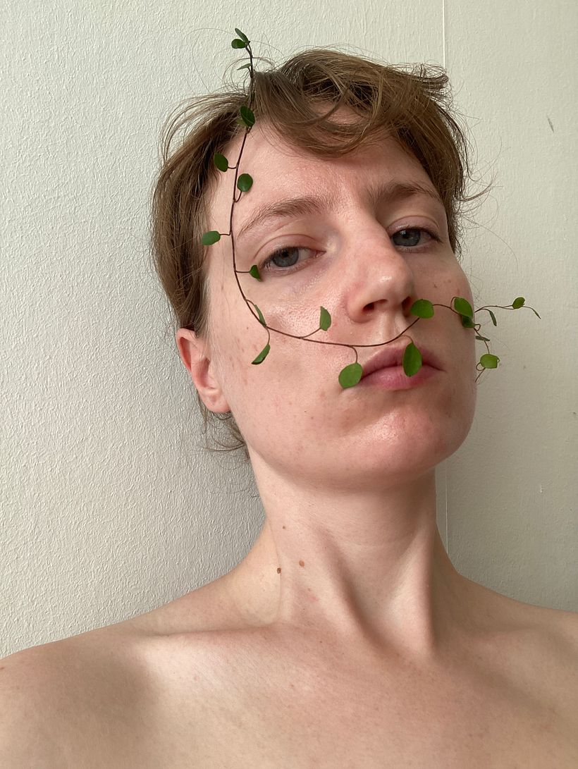 Vine 3