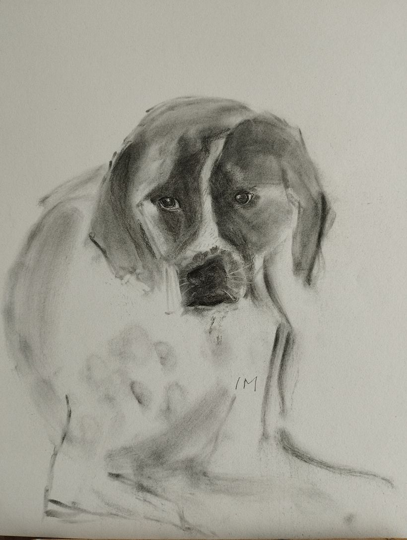 My project for course: Expressive Drawing with Charcoal 1