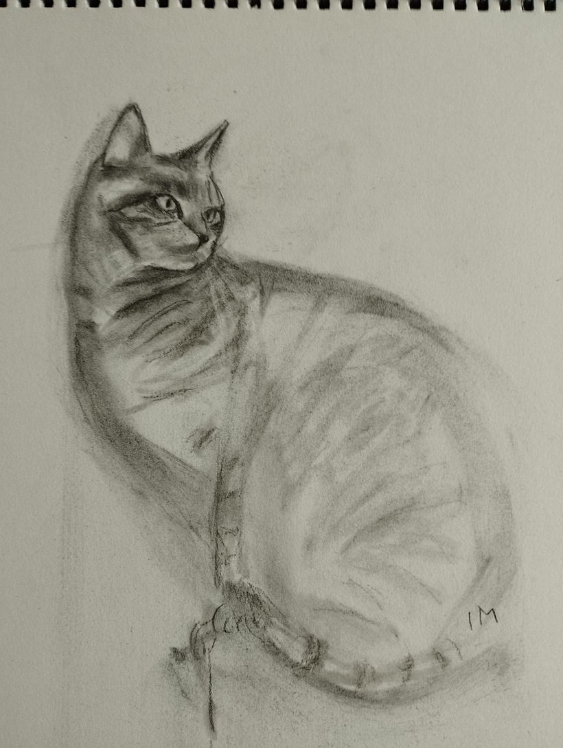 My project for course: Expressive Drawing with Charcoal 2