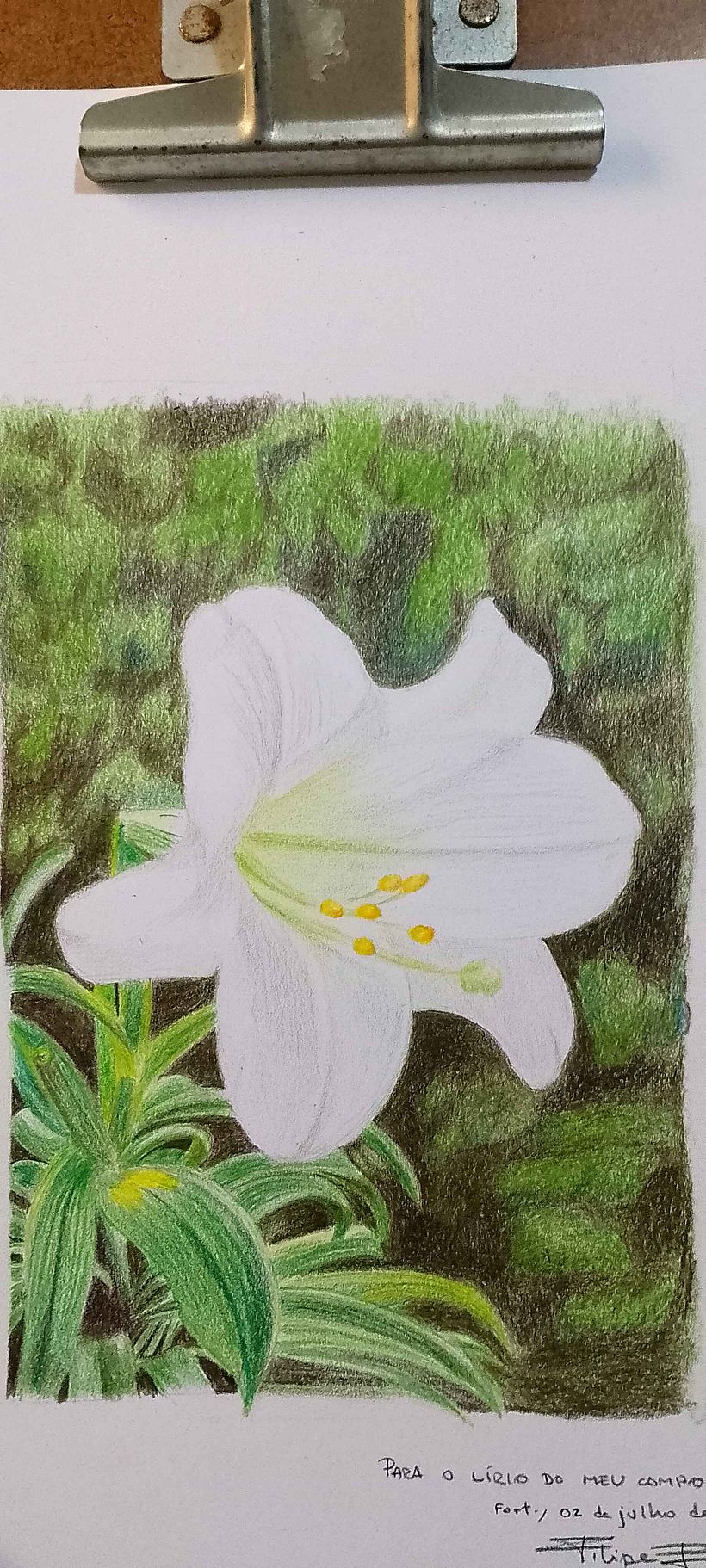 Meu projeto do curso: Sketchbook ilustrado com lápis de cor 5
