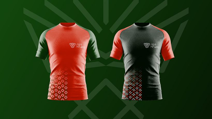 BRANDING DESIGN | Abá Naurú eSports 10
