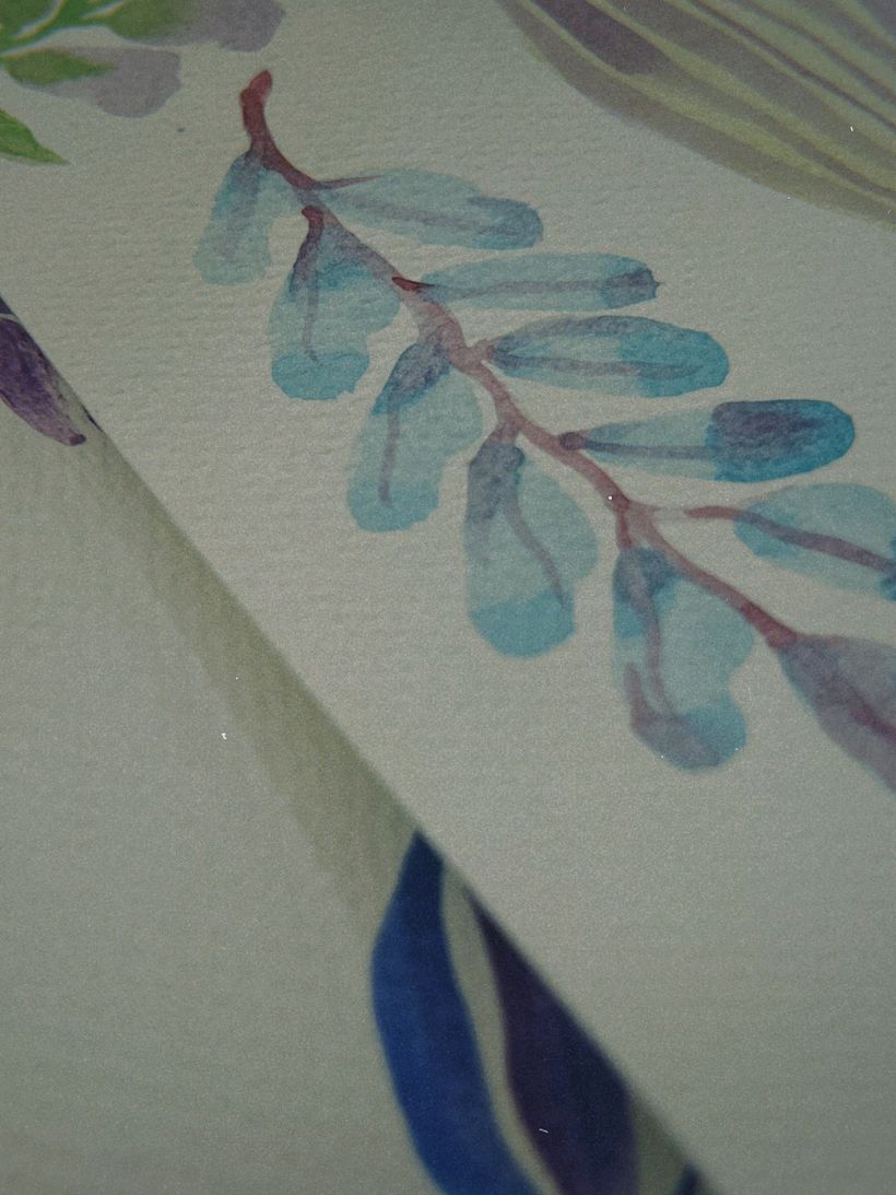 Proceso de acuarelas