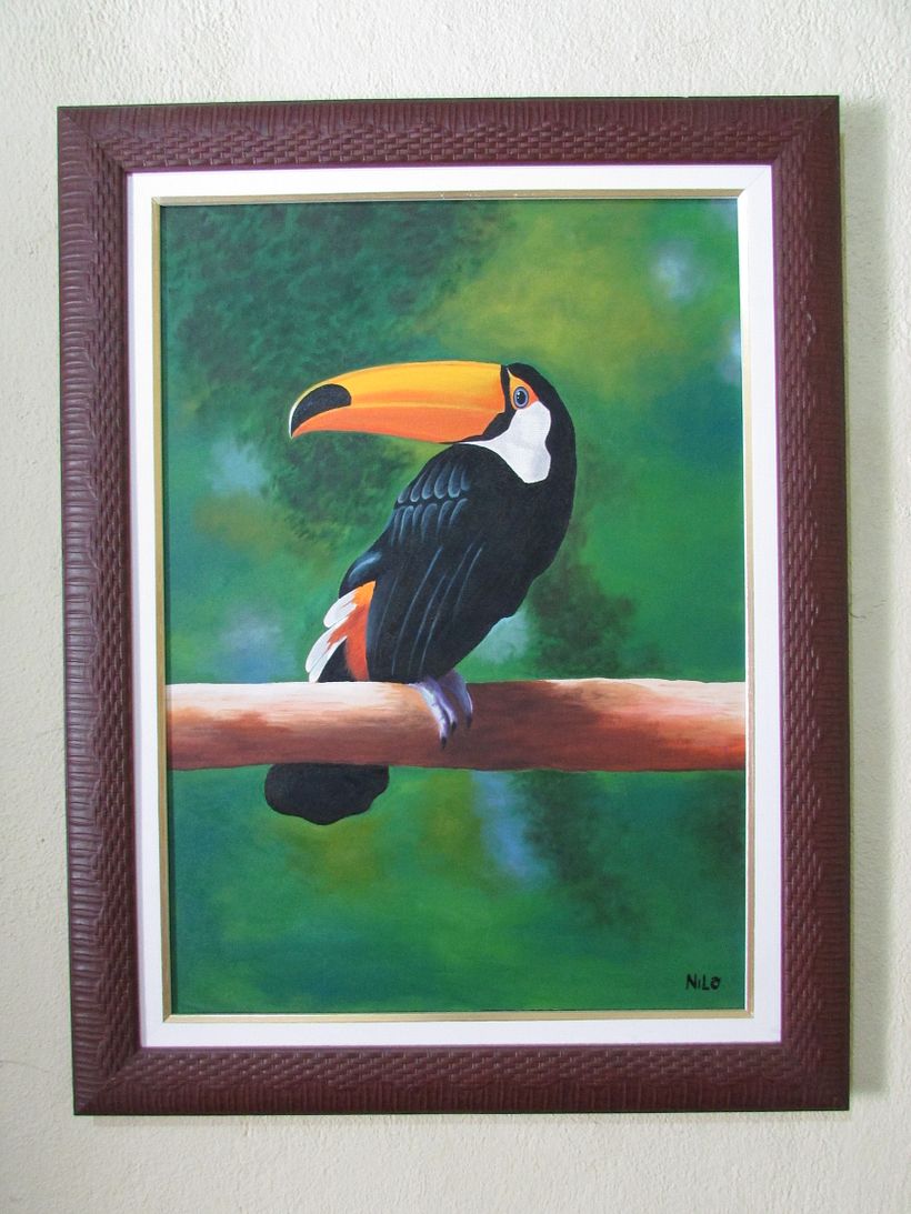 Obra: Tucano Brasileiro