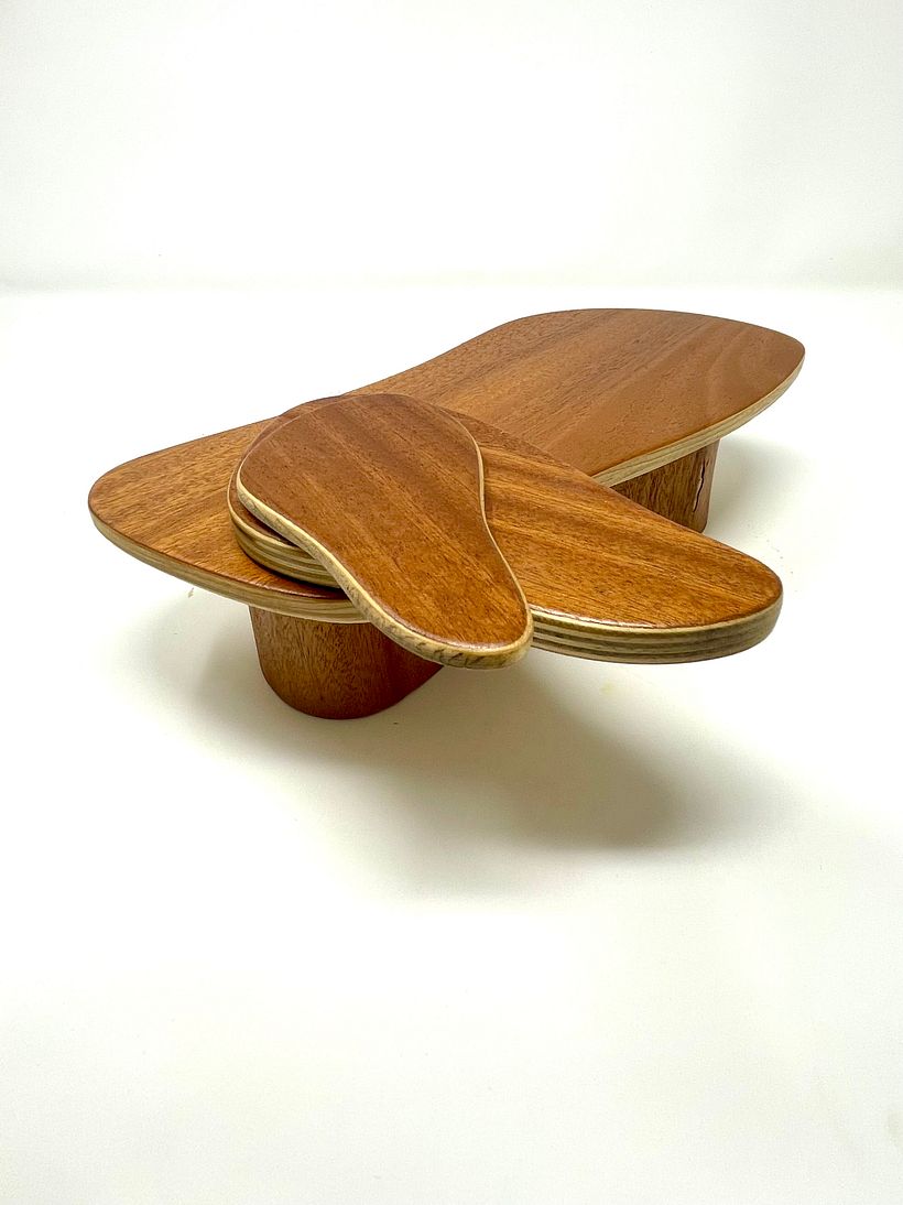 Desert inspired coffee table 2
