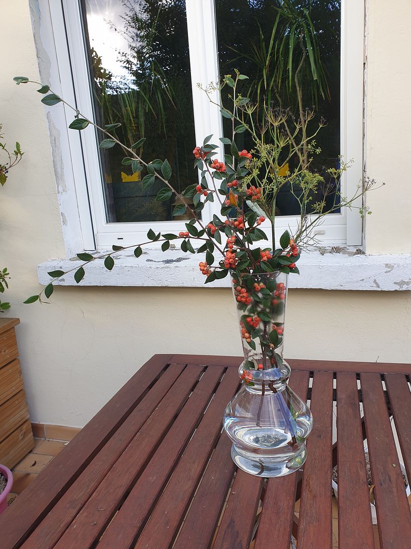 My first Ikebana.