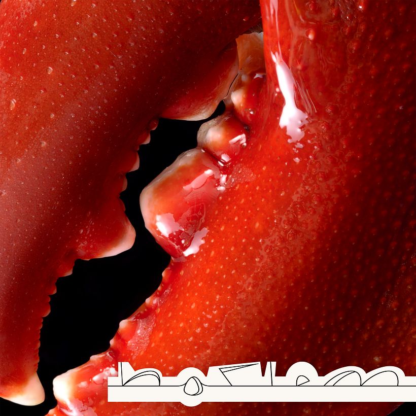 Portada de JAARLEM. Fotografía: Diego P. de la Cruz. Gráfica: Ricardo de Marcos (2024).