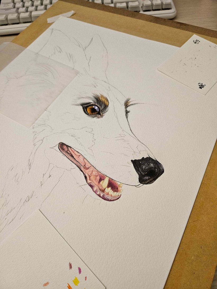 Progress
