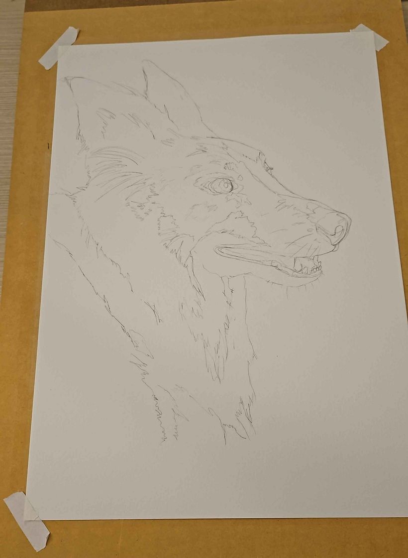 Initial sketch
