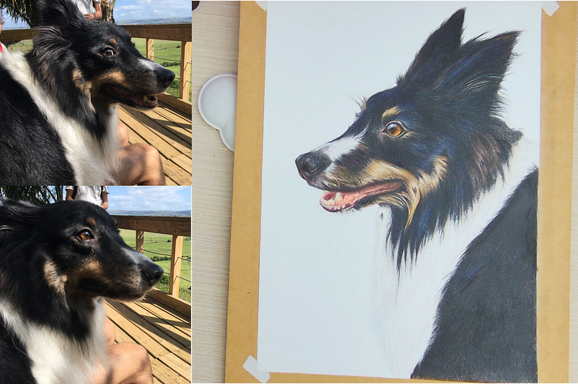 Final with reference photos, I took a bit from both