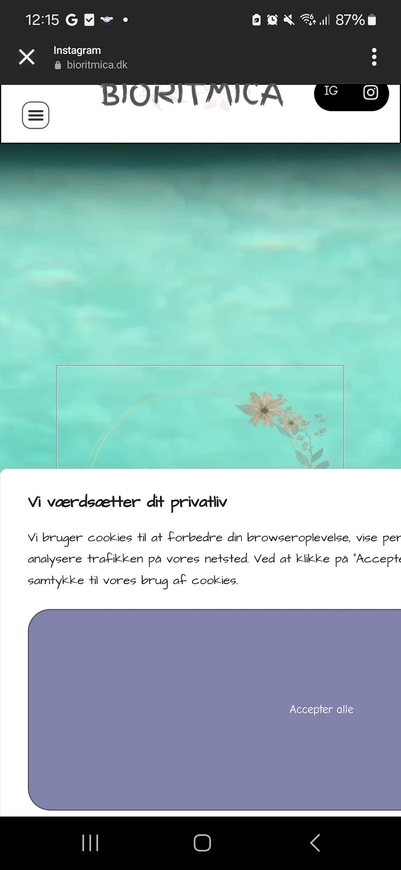 My project Bioritmica 5
