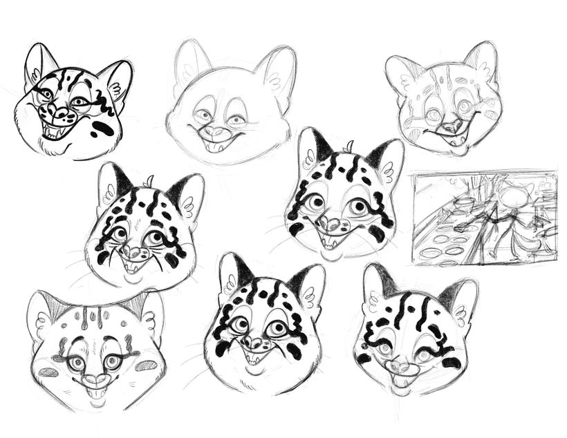 These are the sketches of the character's face. I needed to explore the spots in the face.
