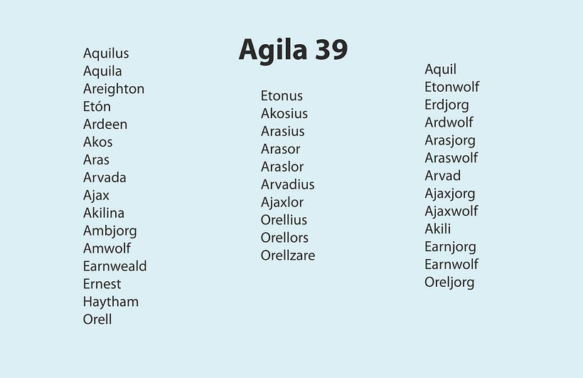 Mi proyecto del curso: Naming: el arte de la creación de nombres 4