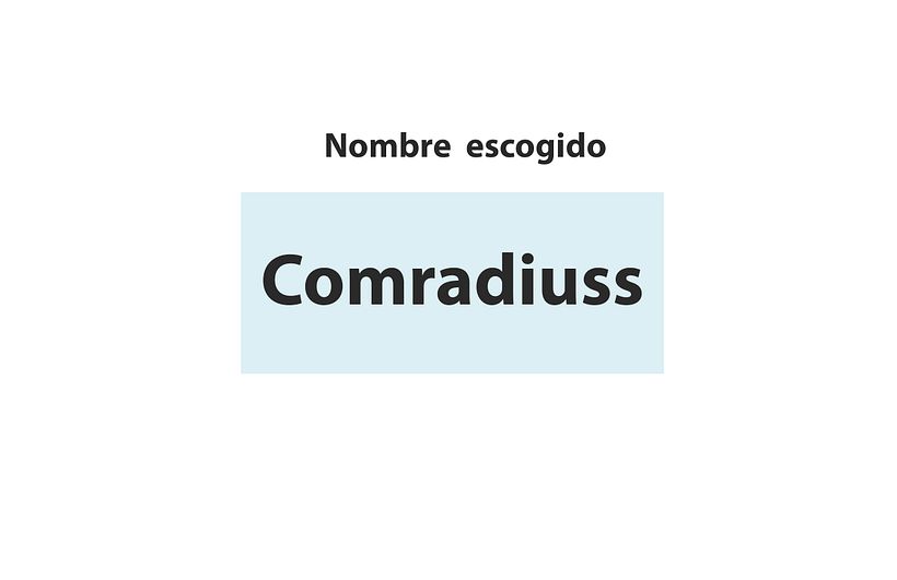 Mi proyecto del curso: Naming: el arte de la creación de nombres 18