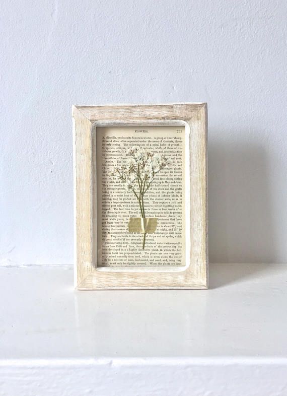 Mi proyecto del curso: Técnicas básicas de prensado botánico - Artesanía
