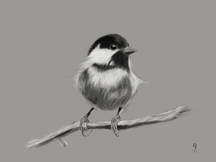 Study after Emily Olsen - iPad/Infinite Painter