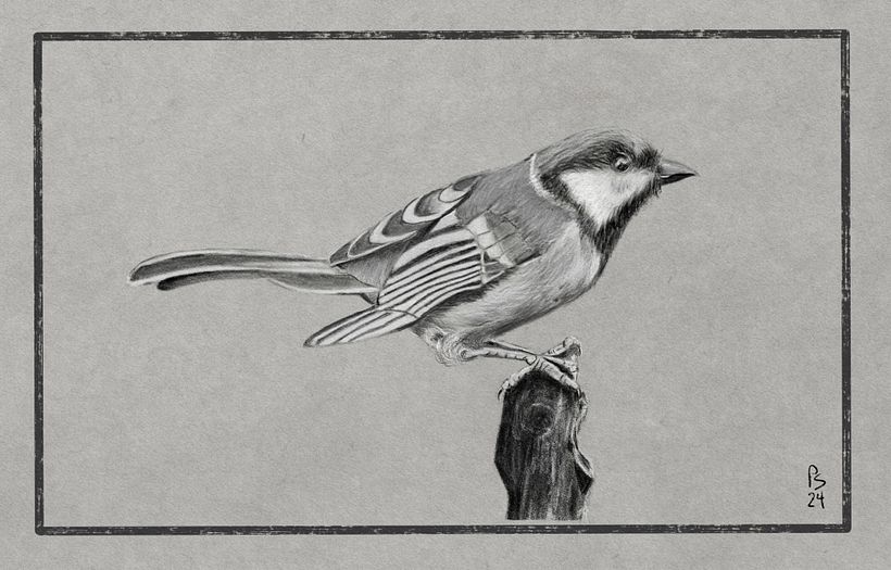 Study after Matt Fussell - iPad/Infinite Painter