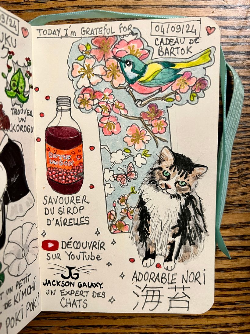 Ho usato il segnapagina regalo di un'amica in Sandman. La mia amata Nori è così carina <3. Una bevanda dell'IKEA. Guardo il canale dell'esperta di gatti.