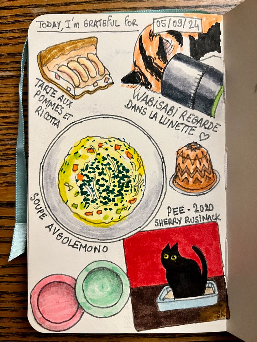 Cibo! Preparo una torta di mele con la ricotta, zuppa Avgolemono. Mangio UFO frizzanti. Disegni di gatti divertenti, Wabisabi gioca con le lenti.