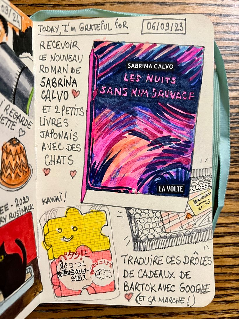 È arrivato il nuovo romanzo dell'amica Sabrina Calvo! Tradurre i regali dell'amico Bartok dal Giappone con l'aiuto di Google Lens...