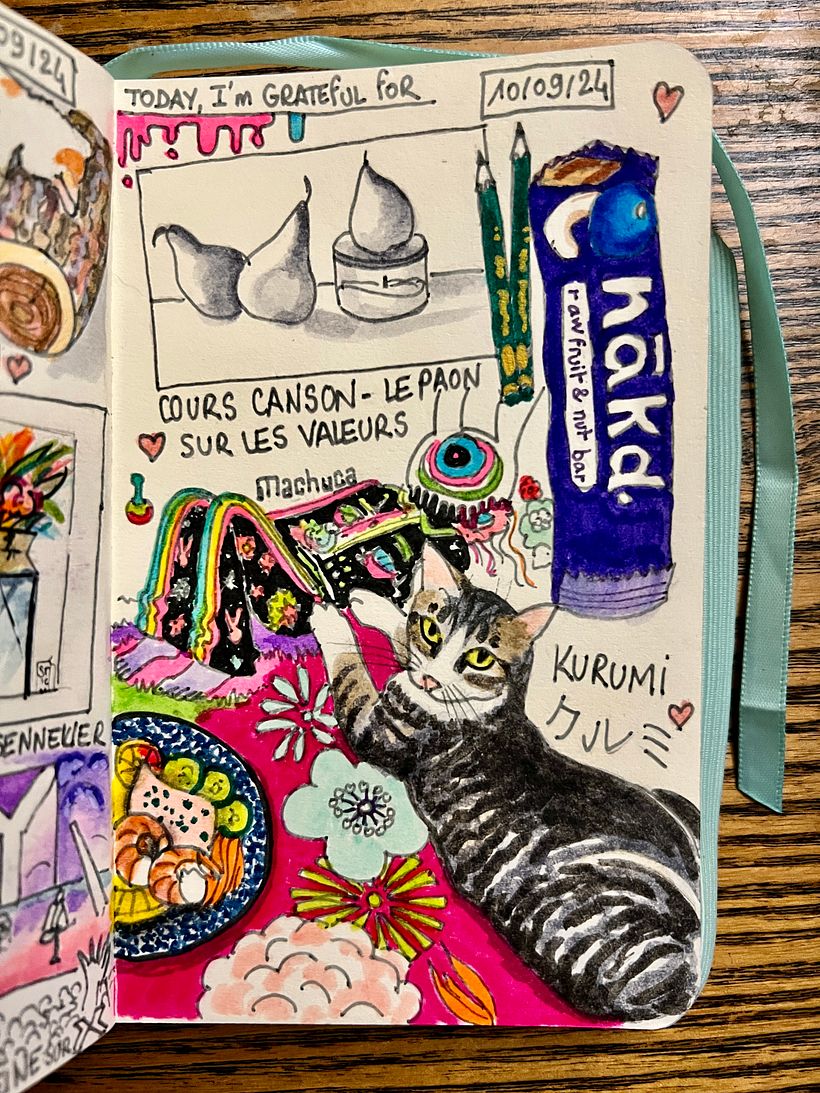 Seguire un corso online sull'ombreggiatura. Kurumi sul letto. Mangiare uno spuntino di frutta cruda e mirtilli di Nakd. L'arte di Machuca.