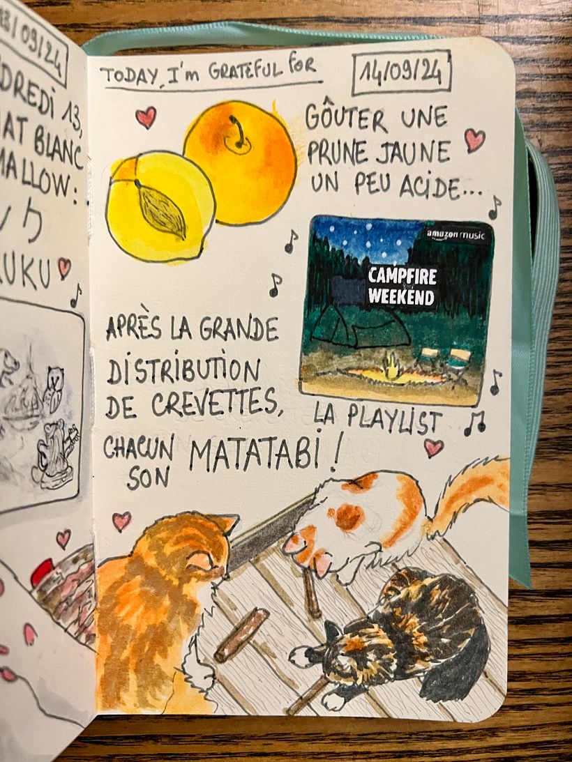 La playlist "Campfire Weekend" si adatta al mio umore <3 Condividere i gamberetti con i Potichats, poi offrire loro bastoncini di Matatabi