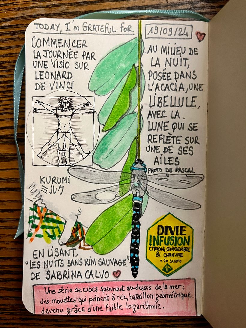 Si inizia con una conferenza online su De Vinci. Marito fotografa una grande libellula che riposa sul nostro albero di acacia.
