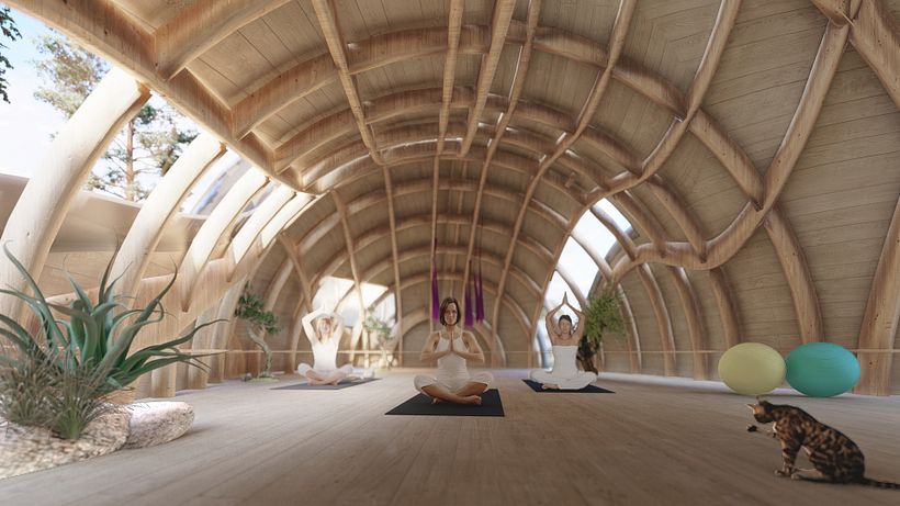 Metamorphosis Yoga Shala 7