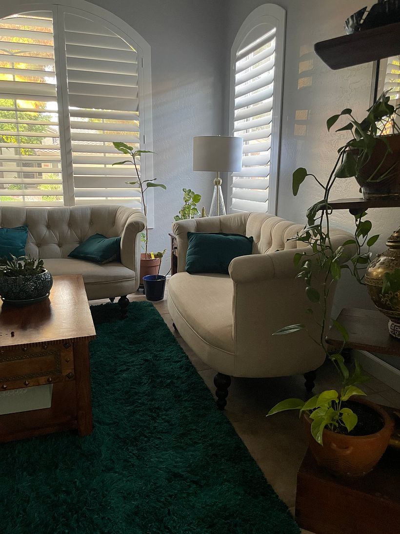 My project for course: Interior Design for Beginners: Decorating with Plants 2