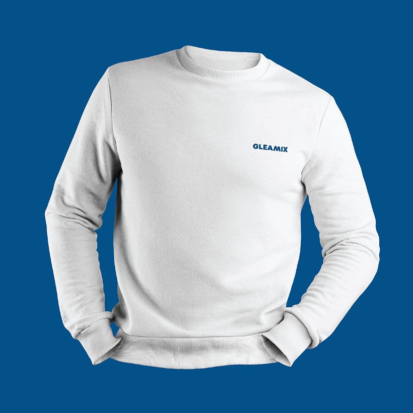 My project for course: Art Direction for Creative Visual Branding - GLEAMIX 7