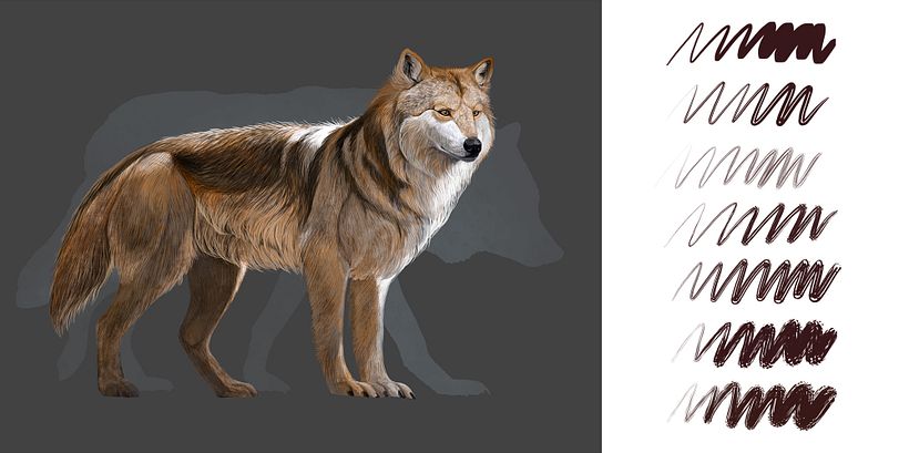 Roman Garcia Mora Procreate Brushes
