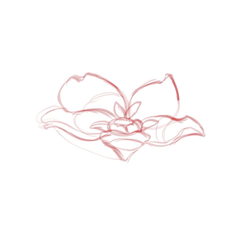 Inspiration for flower