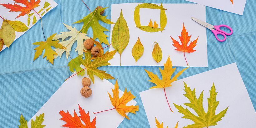 Unique artwork made from nature