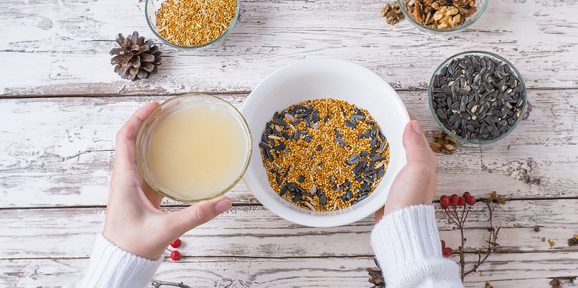 Making your own bird feeder