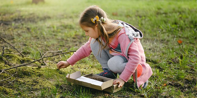 Finding objects in nature