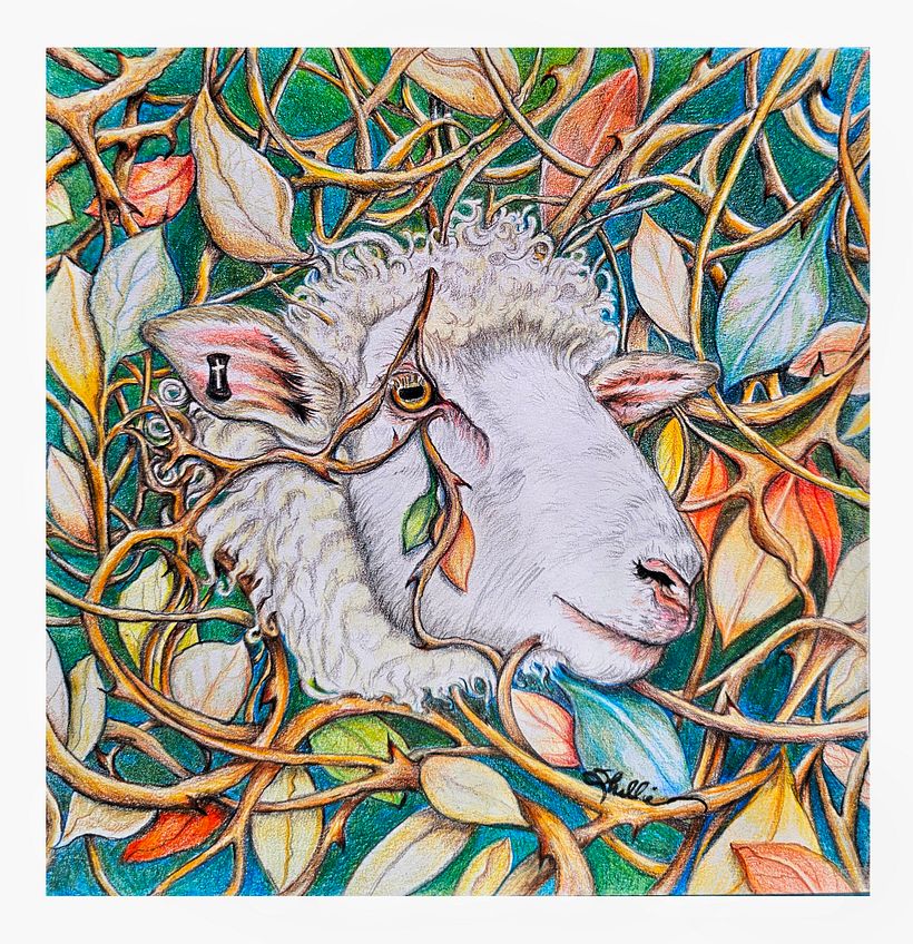 My first project in colored pencil, complete. 