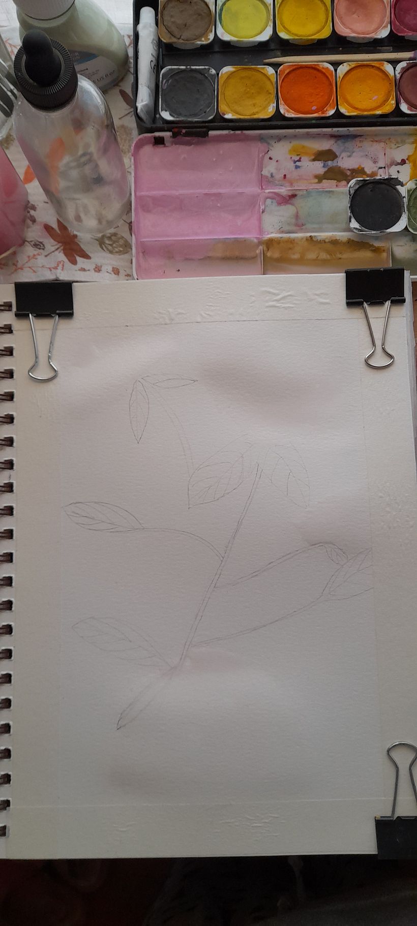 Hydrangea - My project for course: Botanical Illustration with Watercolors 3