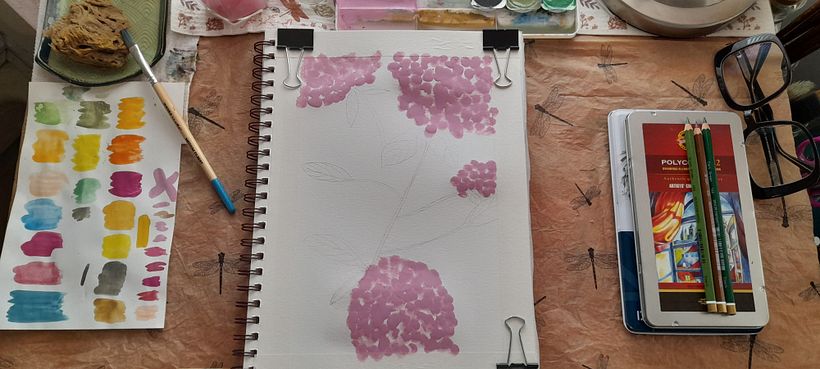 Hydrangea - My project for course: Botanical Illustration with Watercolors 4