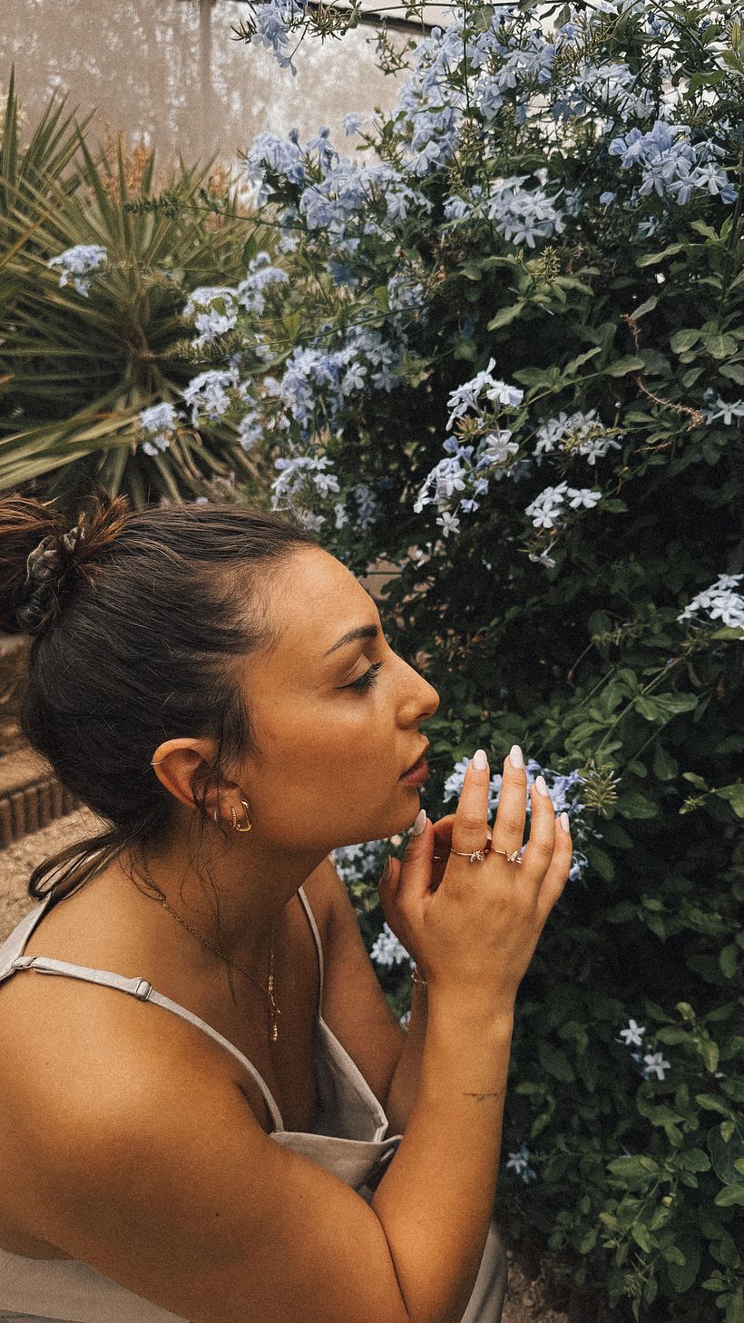 Mi proyecto del curso: Diseño web sin código con Elementor y Wordpress 2