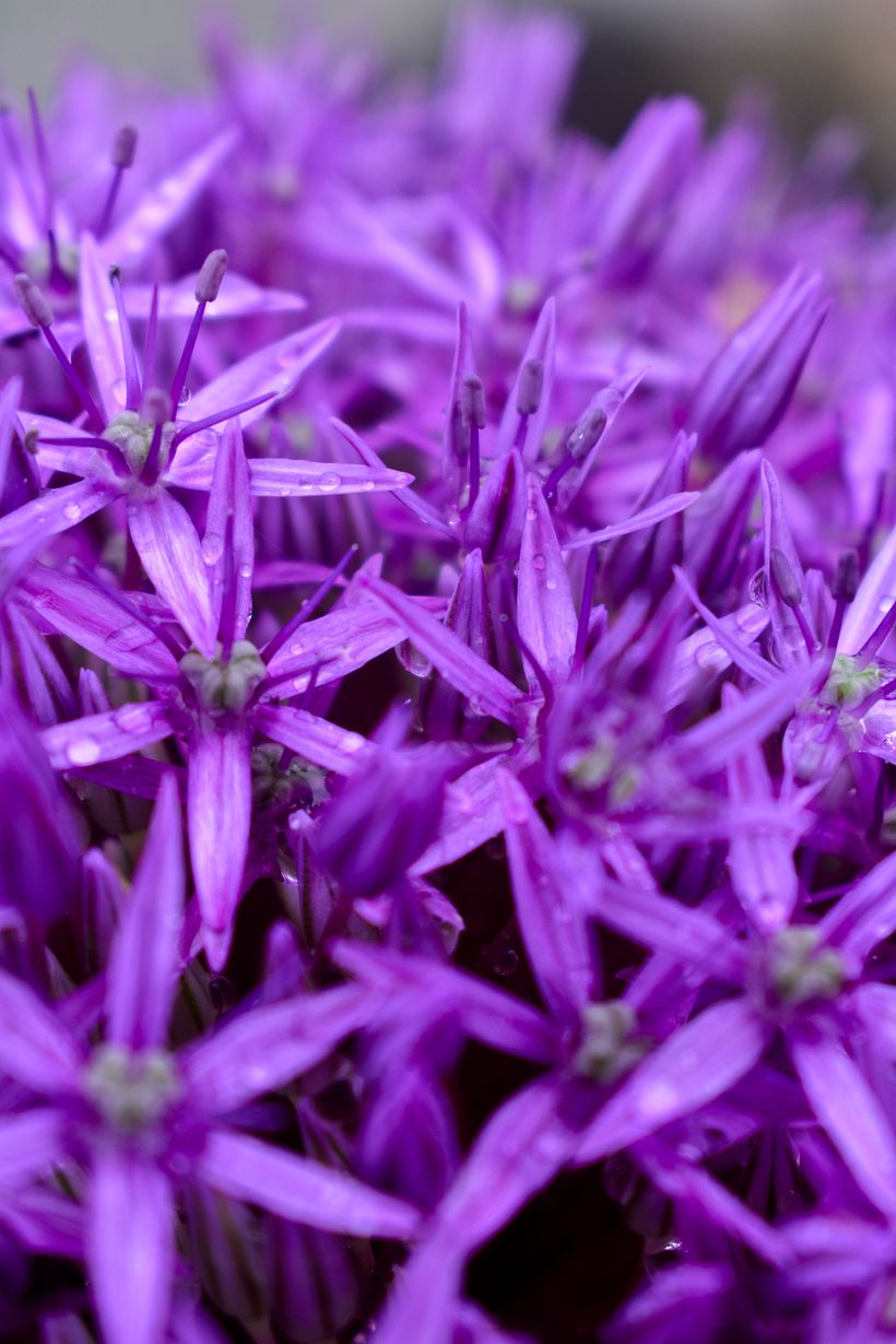 Mój projekt z kursu: Praktyczny przewodnik do nauki obsługi aparatu cyfrowego od podstaw 3