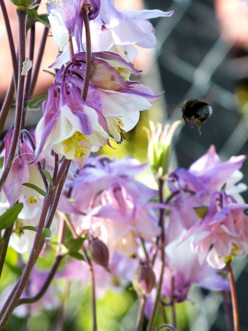 Mój projekt z kursu: Praktyczny przewodnik do nauki obsługi aparatu cyfrowego od podstaw 4