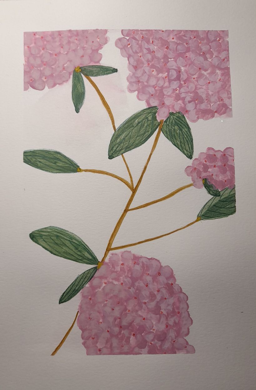 Hydrangea - My project for course: Botanical Illustration with Watercolors 8