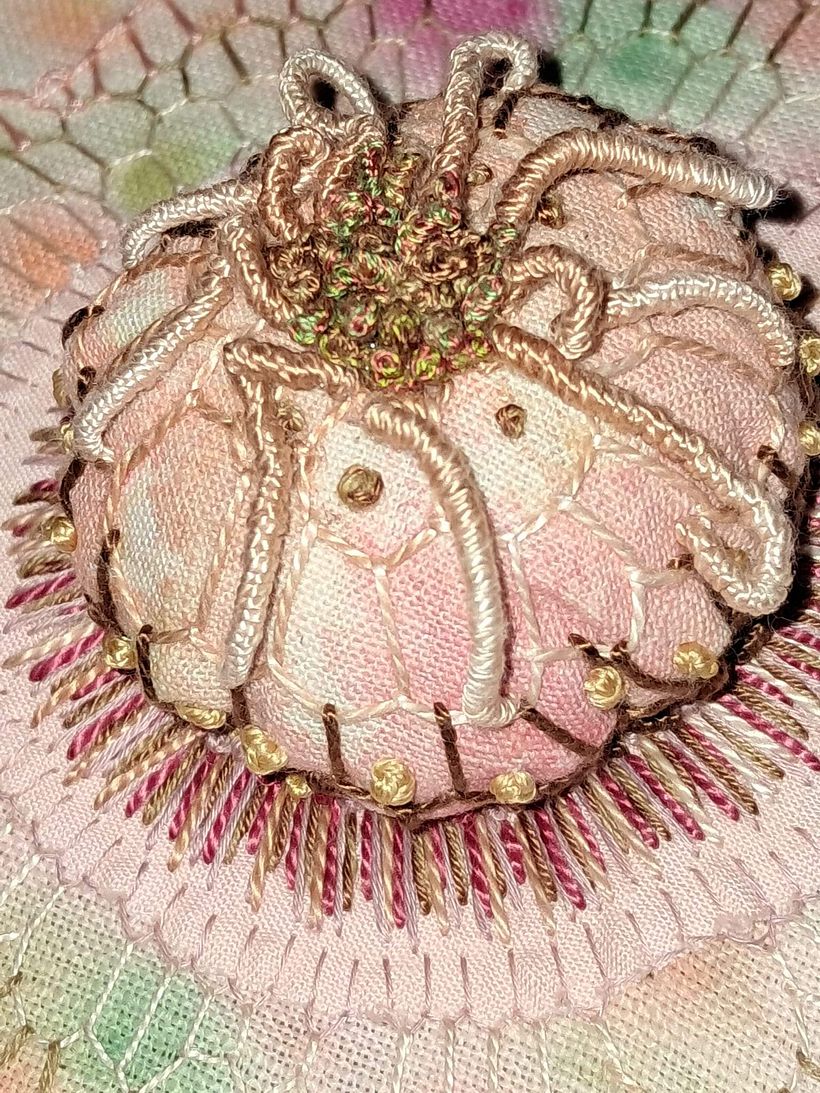 Exploring cells structure. 1