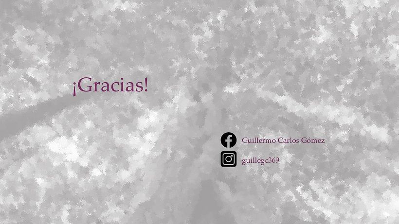 Mi proyecto del curso: Técnicas de autopromoción para creativos 12