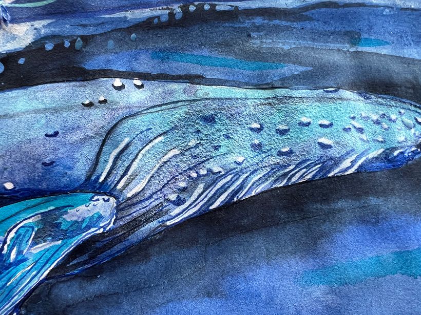 Humpback whales - mother and calf - detail on adult showing use of masking fluid and salt