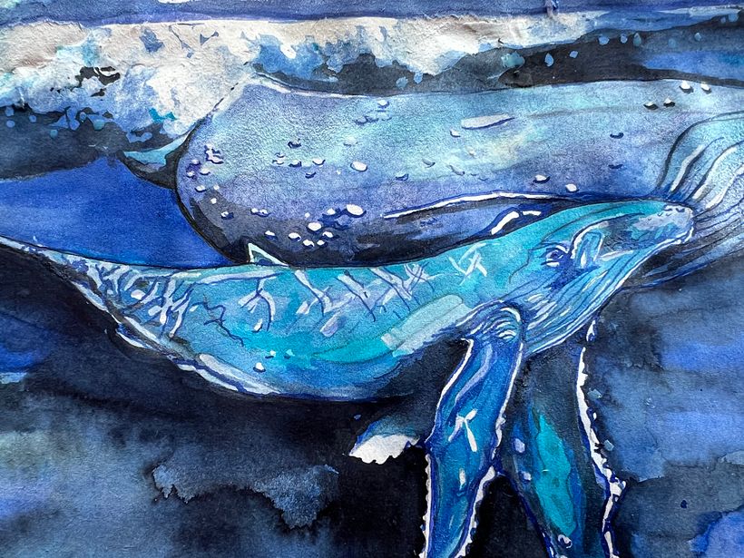 Humpback whales - detail of calf showing effects using masking fluid