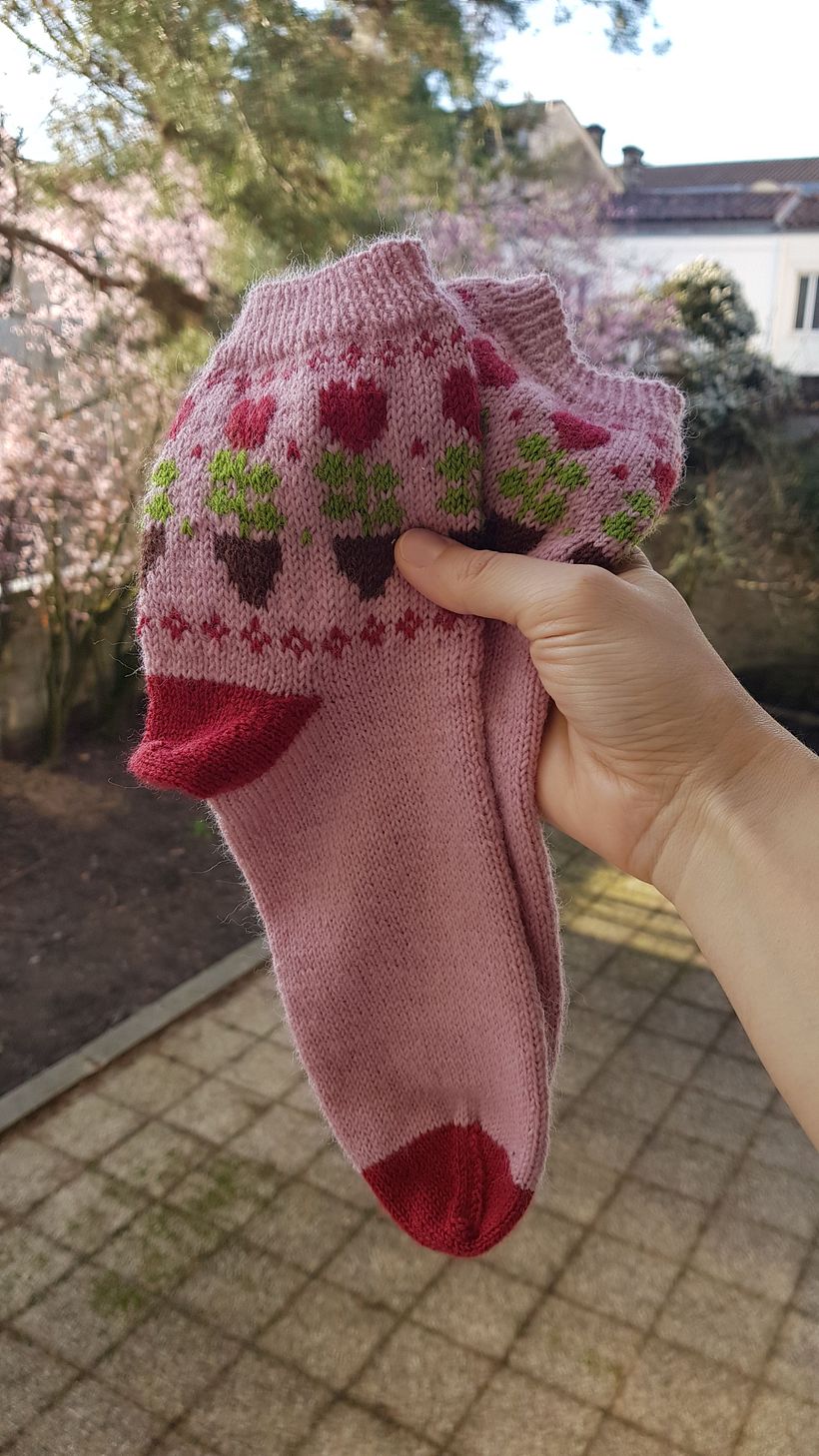 My project for course: Introduction to Colorwork Sock Knitting 4