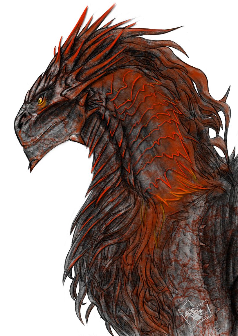 Dragon red-white version